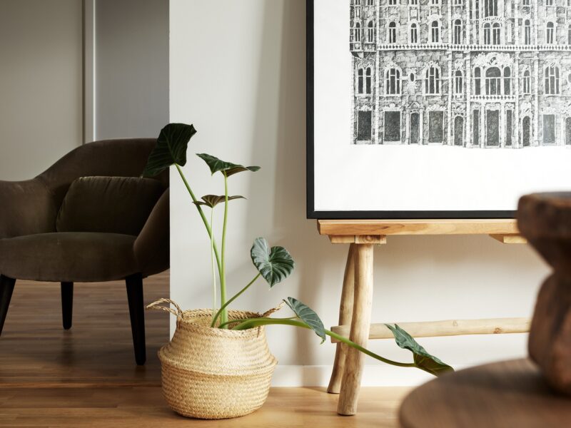 Detaljbild på en flätad korg med en grön växt, en fåtölj och en träpall men en illustration av KG Gyllensvärd på